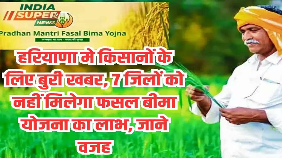 Fasal Bima Yojana: हरियाणा मे किसानों के लिए बुरी खबर, 7 जिलों को नहीं मिलेगा फसल बीमा योजना का लाभ, जाने वजह