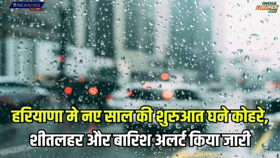 New Year Weather Forecast: हरियाणा मे नए साल की शुरुआत घने कोहरे, शीतलहर और बारिश अलर्ट किया जारी, जाने मौसम की ताजा खबर