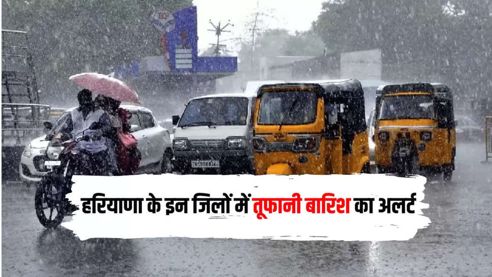 Haryana Weather Update