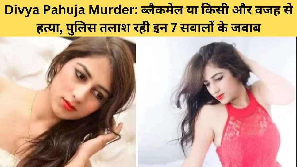Divya Pahuja Murder: ब्लैकमेल या किसी और वजह से हत्या, पुलिस तलाश रही इन 7 सवालों के जवाब