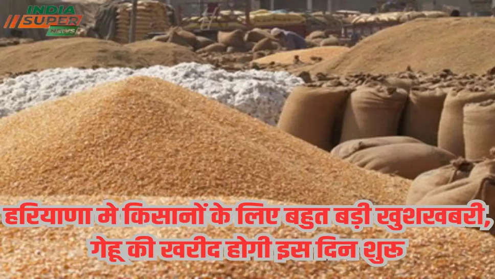हरियाणा मे किसानों के लिए बहुत बड़ी खुशखबरी,  गेहू की खरीद होगी  इस दिन शुरू
