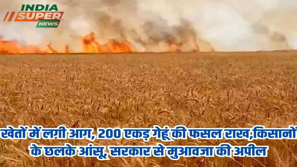 खेतों में लगी आग, 200 एकड़ गेहूं की फसल राख,किसानों के छलके आंसू, सरकार से मुआवजा की अपील 
