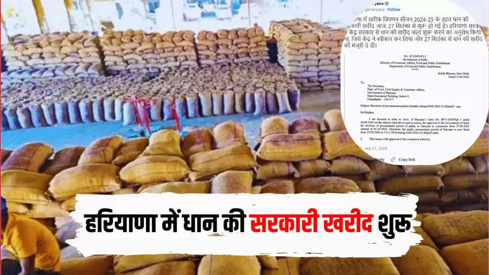 Government Purchase Paddy, Haryana Government, Haryana news